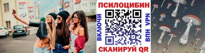 Псилоцибиновые грибы прущие грибы  kraken маркетплейс  Шахты  где можно купить  