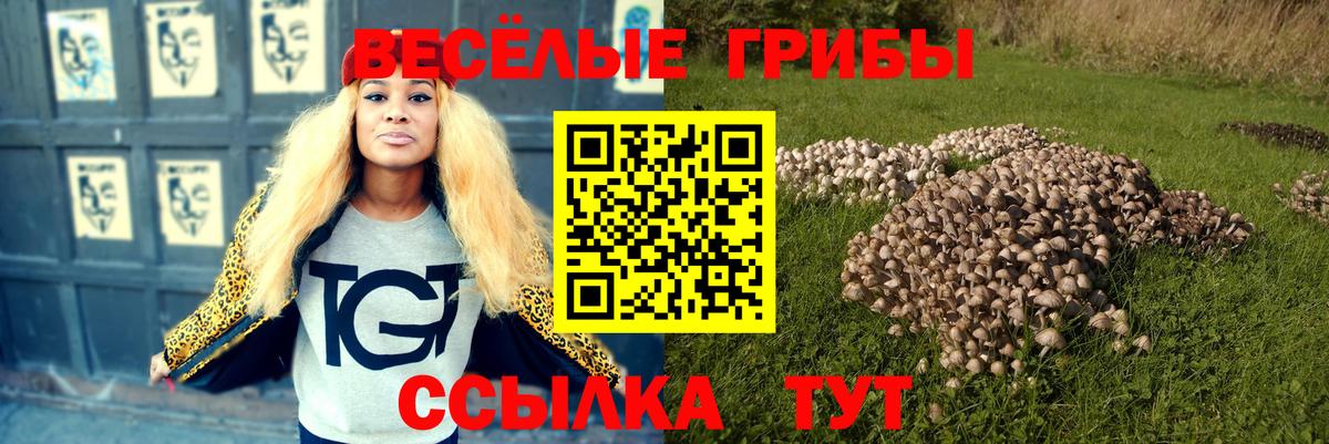 Псилоцибиновые грибы ЛСД  Вход с VPN  Шахты 